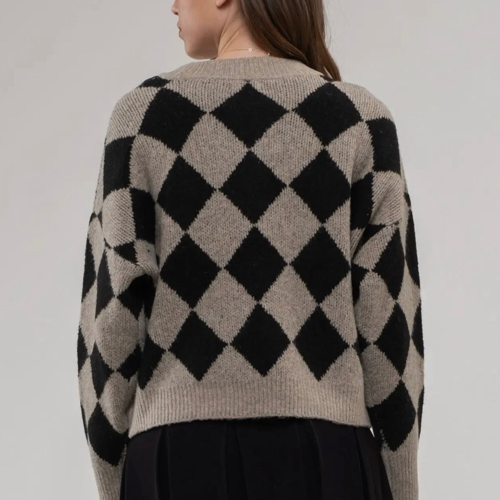 Harlequin Crew Knit Sweater